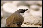 _J207325
