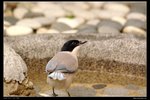 _J207346