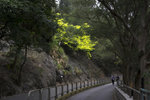 DSC03122r