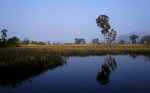 DSC05432r