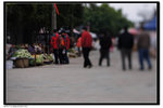 DSC05618r