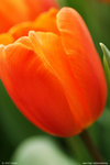 DSC08478