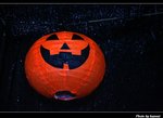 IMG_0818
