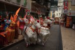 IMG_6674