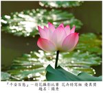 IMG_0290r