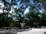 DSCF5759