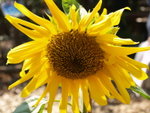 P3032351