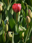 P3032377