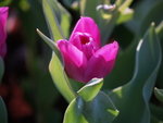 P3032403