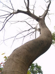 P2192063
