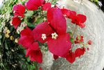 _DSC1380
