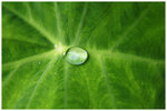 green_08