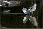 20101228_longyuen01