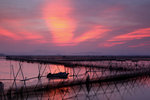 20100828_SanMei_15