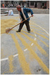 lin_village_a01