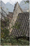 lin_a19