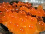 �T�峽�l