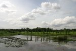 IMG_1378