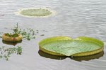IMG_1382