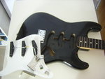 DSCN0973