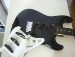 DSCN0979