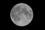 20090210-DSC01882
