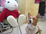 bobby (2004)