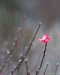 100208_DSC00050