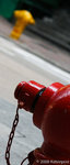 DSC00056_copy