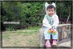 IMG_7963frame