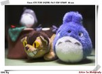 IMG_0894-01