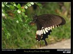 P3160562