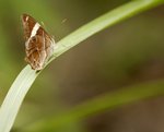 Resize_DSC_0157