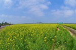 KEL_1881