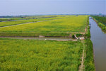 KEL_1941