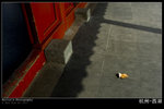 KEL_6052_hangzhou_070127 copy