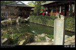KEL_6054_hangzhou_070127 copy