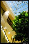 KEL_7543