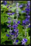 KEL_7565
