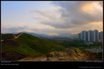 DSC_0167 copy