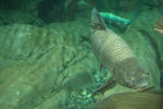 KEL_5675