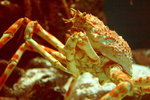 KEL_5760