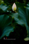080728_KEL_9993 copy