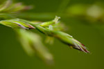 KEL_9571