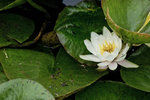 KEL_9575