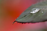 KEL_9584