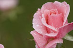 KEL_9588