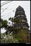 KEL_6135 copy