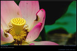 DSC_0002_060604