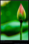 DSC_0025_060604